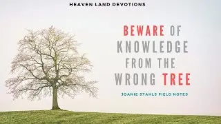 Heaven Land Devotions -  Beware of Knowledge From the Wrong Tree