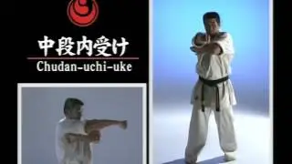 Chudan uchi uke