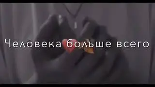 Мусульманские видео