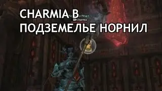 Чармия в подземелье Норнил (кач магом- полный гайд)