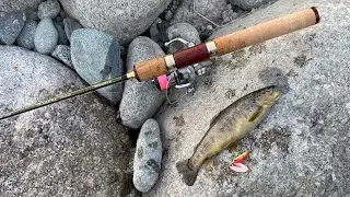 Бешеный клев форели. Рыбалка с gofishing. Trout time.