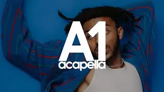 Aminé - Dididumduhduh (Acapella - Vocals Only) 120bpm