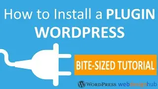 Install a WordPress Plugin Tutorial ✅ Beginner Quick Guide