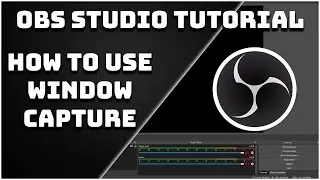 How To Use The Window Capture - OBS Studio Tutorial