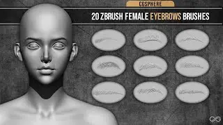 Female Eyebrows Brushes For Zbrush