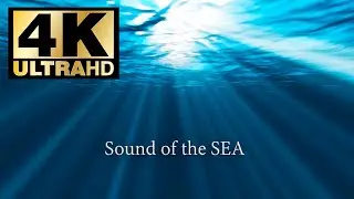 Deep Sleep Music-Sea Waves. Ocean Waves.Fall Asleep Fast,Relaxing Music,Sleeping Music. White Noise
