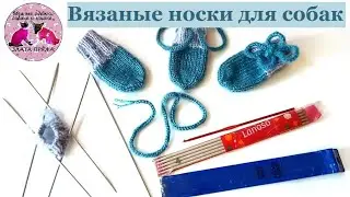 Вязаные носки для собаки