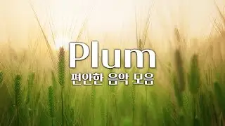 【𝐏𝐥𝐚𝐲𝐥𝐢𝐬𝐭】 편안하게 듣기 좋은 뉴에이지 고봉밥 플레이리스트 / Plum 음악 모음