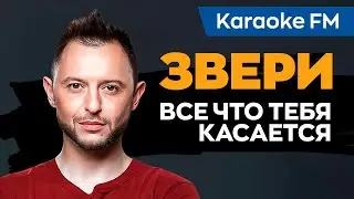 ЗВЕРИ — ВСЕ ЧТО ТЕБЯ КАСАЕТСЯ | Karaoke FM version