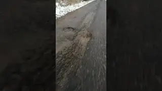 Поход в ЧЗО на Военный полигон день село Копачи