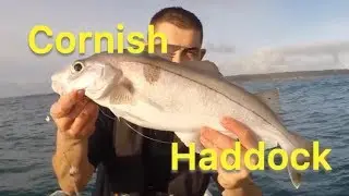 Haddock Fishing - Sea Fishing UK - Tips For Beginners | The Fish Locker