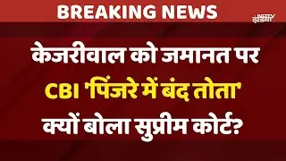 Arvind Kejriwal Bail News: केजरीवाल को जमानत पर CBI 'पिंजरे में बंद तोता' क्यों बोला Supreme Court?