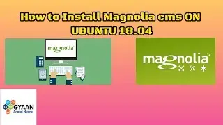 How to Install Magnolia CMS on Ubuntu 18.04