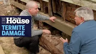 How to Prevent Termite Damage | This Old House