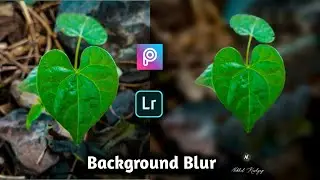 Instagram viral photography editing How to Blur background like professional in picsart /