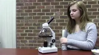 How to Use a Microscope