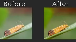 Color Correction In Photoshop