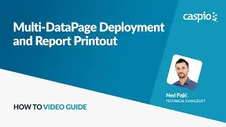 Multi-DataPage Deployment and Report Printout