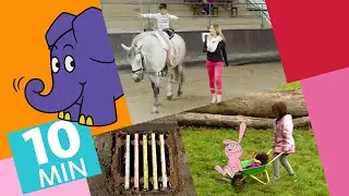 Hallo Elefant - Mert lernt voltigieren & Kettenreaktion mit Elefant und Hase| Der Elefant | WDR
