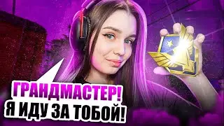 [🔴LIVE ] НАВОДИМ СУЕТУ на РМ 💙 [ СТРИМ WARFACE / ВАРФЕЙС ]