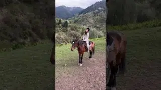 Укусила лошадь БТР 
