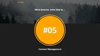 SoftPeak #5 - Content Management