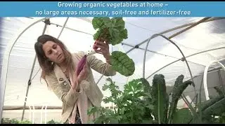 Growing Organic Vegetables at Home