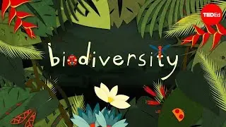 Perché la biodiversità è così importante? - Kim Preshoff