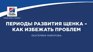 Вебинар на тему: "Периоды развития щенка - как избежать проблем поведения во взрослой жизни".