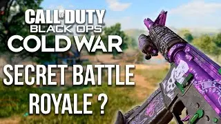 Cold War has a secret Battle Royale mode!?