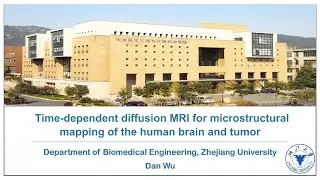 BrainMap: Time-dependent diffusion MRI for microstructural mapping of the human brain and tumor