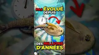 Cet ANIMAL a OUBLIÉ d’ÉVOLUER 🦕