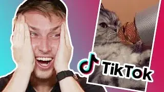 WE REACT TO TIK TOKS!