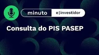 Consulta do PIS PASEP | Minuto E-Investidor