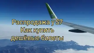 Распродажа у S7. Как купить дешёвые билеты. #s7 #распродажа #субсидированныебилеты