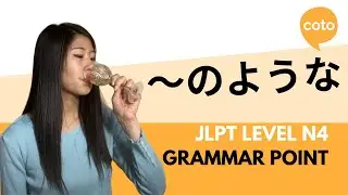 JLPT N4 Grammar: ～のような (~no youna) : 