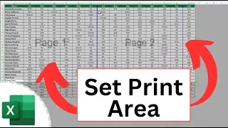 How to Set the Print Area in Excel (Easy Step by Step)