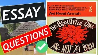 the beautyful ones are not yet born - essay questions by ayi kwei armah