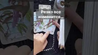 Срочно❗️💯% Точное Предсказание... 🌓✨ Расклад таро #shorts  #онлайнгадание