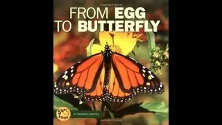 From Egg to Butterfly
