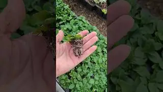 Обновление ассортимента на сайте!