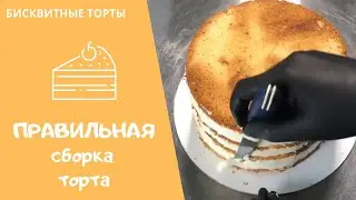 📍ПРАВИЛЬНАЯ сборка бисквитного торта ❤ ВСЕ секреты! Простой рецепт творожного мусса #106