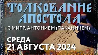 Среда, 21 августа 2024 года. Толкование Апостола с митр. Антонием (Паканичем).