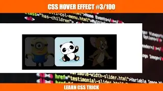 3/100 CSS Mouse Hover Effect #3 #html #css #javascript #coding #webdevelopment