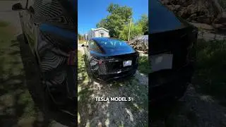 #tesla MODEL 3 REFRESH NOW HAS A NEW REAR DISPLAY!