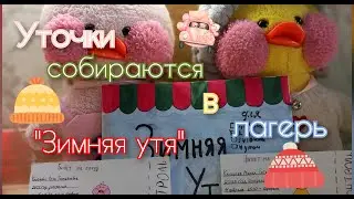 Уточка Милка и Роза едут в лагерь⛺ Собираем вещи/ Tanya diy/Что взять в зимний лагерь/