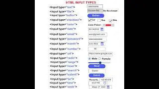 HTML Input Tags List Tutorial For Beginners (Web Development)