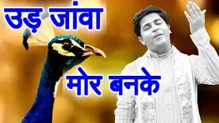 उड़ जांवा मोर बनके || इस भजन को  सुनने से आप जीवन में कभी निराश नहीं होंगे ||Rakesh sharma