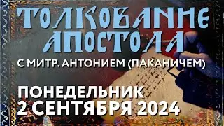 Понедельник, 2 сентября 2024 года. Толкование Апостола с митр. Антонием (Паканичем).