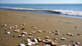 Suoni della Natura, Mare, Relax